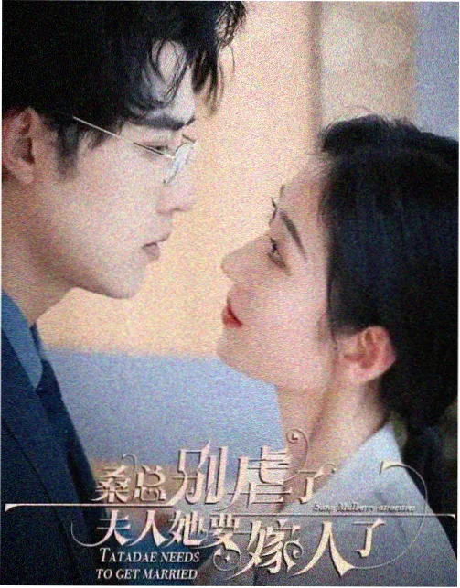 北京君竹影视文化有限公司都市情感剧雾港纪事的剧集封面